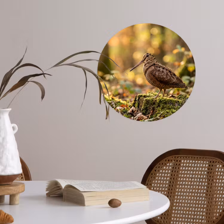 Houtsnip - Bos - Bladeren - Herfst - Gecamoufleerd Wandcirkel behangsticker klein -sfeer3