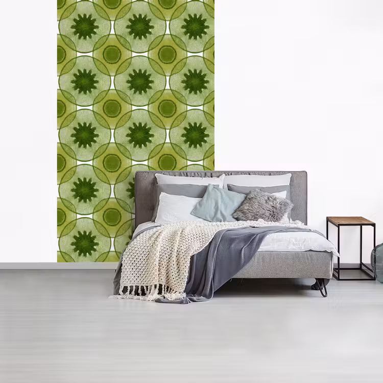 Cirkels - Patroon - Groen fotobehang vinyl groot 66 -slaapkamer