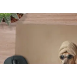 Bad - Hond - Boek - Zonnebril muismat rubber klein -closeup
