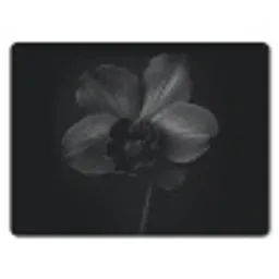 Zwart - Bloem - Orchidee muismat rubber klein -3d