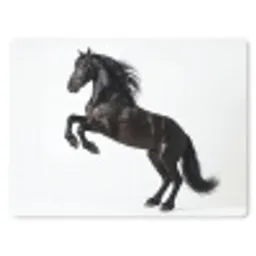 Zwart - Paard - Portret muismat rubber klein -3d