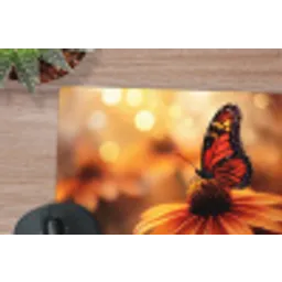 Vlinder - Bloemen - Oranje muismat rubber klein -closeup