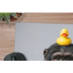 Chimpansee - Badeend - Grijs muismat rubber klein -closeup