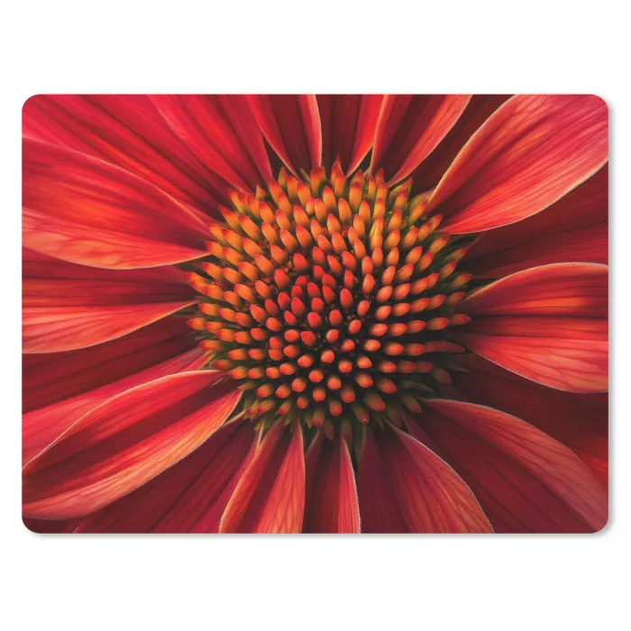 Close up - Bloem- Rood muismat rubber klein -3d