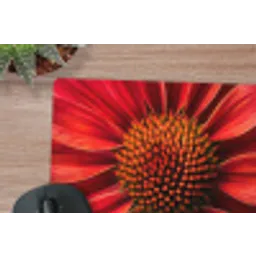 Close up - Bloem- Rood muismat rubber klein -closeup