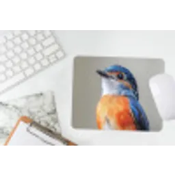 Kleurrijk - Vogeltje - Veren - Blauw muismat rubber klein -witbureau