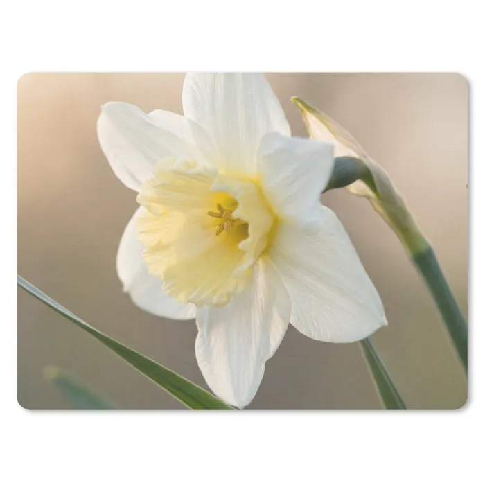 Narcis - Bloem - Minimalistisch muismat rubber klein -3d