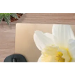 Narcis - Bloem - Minimalistisch muismat rubber klein -closeup