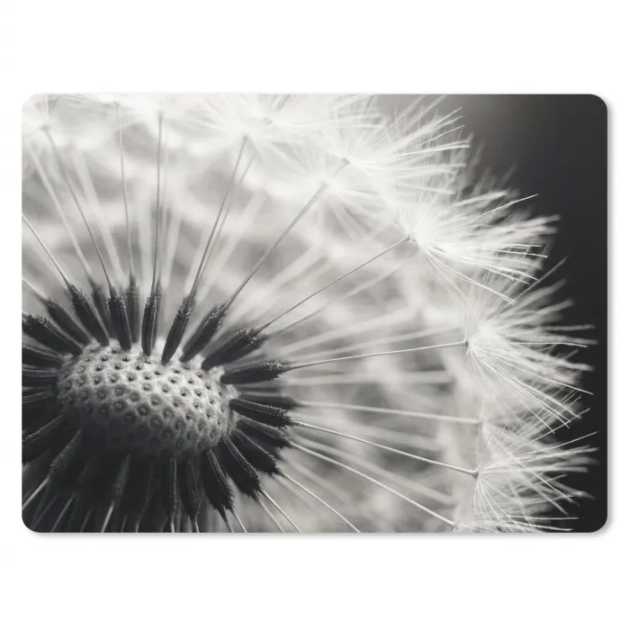 Paardenbloem - Zwart - Wit muismat rubber klein -3d