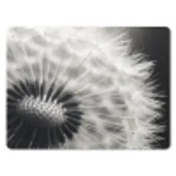 Paardenbloem - Zwart - Wit muismat rubber klein -3d