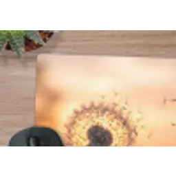 Paardenbloem - Zonsondergang - Veld muismat rubber klein -closeup