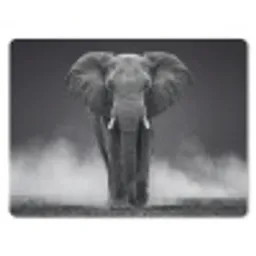 Olifant - Zwart - Wit - Rook muismat rubber klein -3d