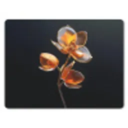 Bloem - Orchidee - Oranje muismat rubber klein -3d