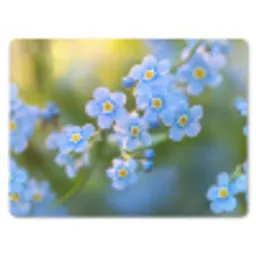 Bloemetjes - Blauw - Vergeet mij nietjes muismat rubber klein -3d