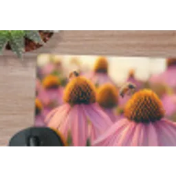 Bloemen - Paars - Bijen muismat rubber klein -closeup