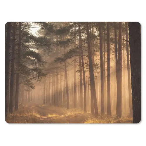 Bos - Mist - Zonlicht muismat rubber klein -3d