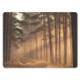 Bos - Mist - Zonlicht muismat rubber klein -3d
