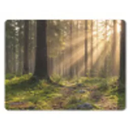 Bos - Zonlicht - Gras muismat rubber klein -3d