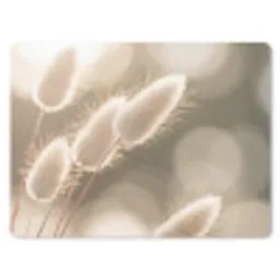 Hazestaartgras - Wit - Zonlicht muismat rubber klein -3d