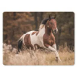 Paard - Bruin - Gras muismat rubber klein -3d