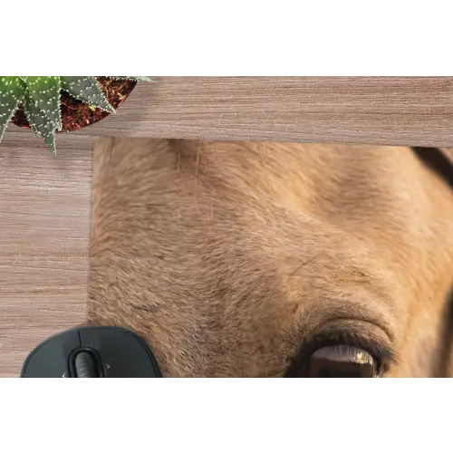 Paard - Oog - Bruin muismat rubber klein -closeup