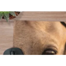 Paard - Oog - Bruin muismat rubber klein -closeup