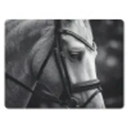 Paard - Schimmel - Portret muismat rubber klein -3d