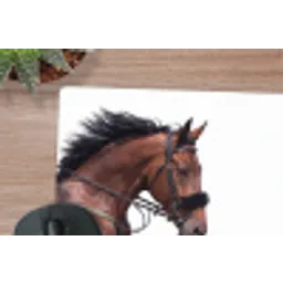 Paard - Springen - Modern muismat rubber klein -closeup