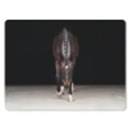 Paard - Modern - Portret muismat rubber klein -3d