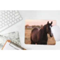 Paard - Zonsondergang - Bruin muismat rubber klein -witbureau