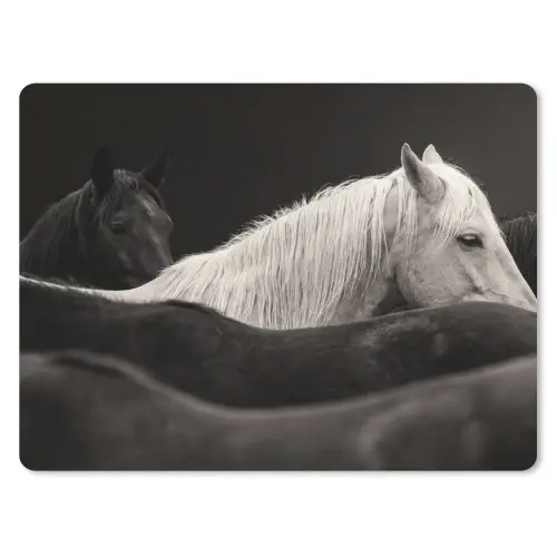 Paarden - Zwart - Wit - Kudde muismat rubber klein -3d