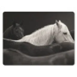 Paarden - Zwart - Wit - Kudde muismat rubber klein -3d