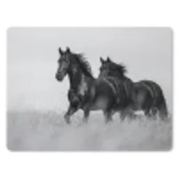 Paarden - Gras - Zwart - Wit muismat rubber klein -3d