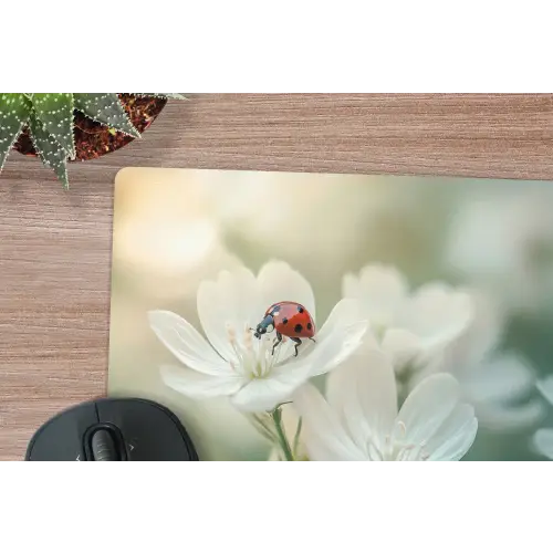 Lieveheersbeestje - Bloemen - Wit muismat rubber klein -closeup