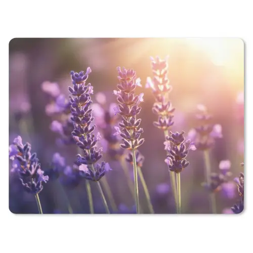 Lavendelbloemen - Paars - Zonlicht muismat rubber klein -3d