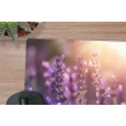 Lavendelbloemen - Paars - Zonlicht muismat rubber klein -closeup