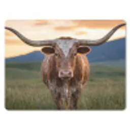 Longhorn - Landschap - Zonsondergang muismat rubber klein -3d