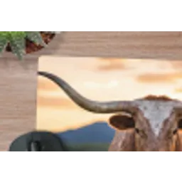 Longhorn - Landschap - Zonsondergang muismat rubber klein -closeup