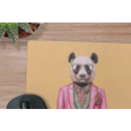 Panda - Pak - Zonnebril - Blauw muismat rubber klein -closeup