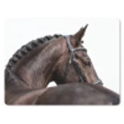 Portret - Paard - Elegant muismat rubber klein -3d