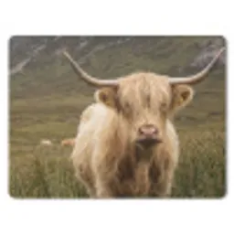 Schotse hooglander - Bergen - Grasveld muismat rubber klein -3d