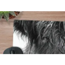 Schotse hooglander - Zwart - Wit - Sneeuwvlokken muismat rubber klein -closeup