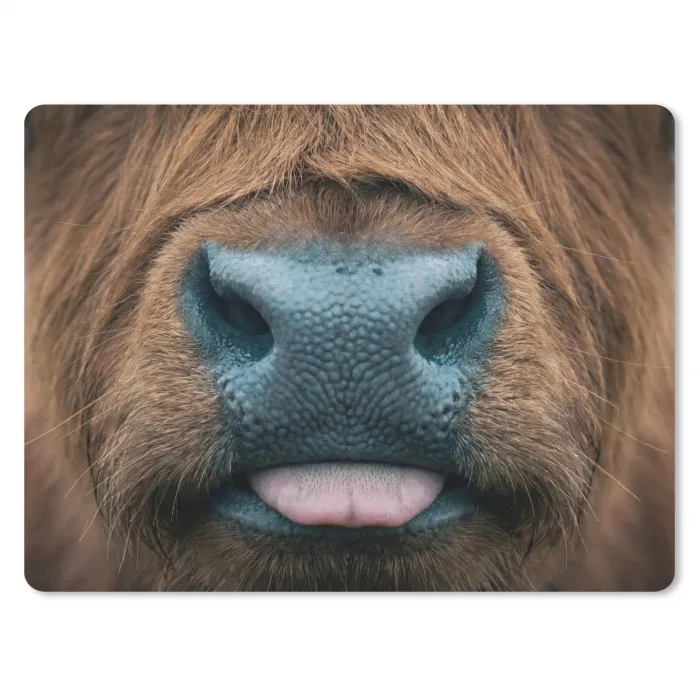 Schotse hooglander - Neus - Bruin muismat rubber klein -3d
