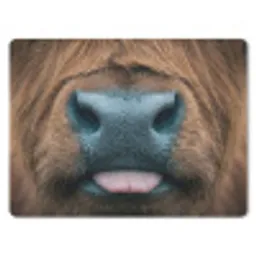 Schotse hooglander - Neus - Bruin muismat rubber klein -3d