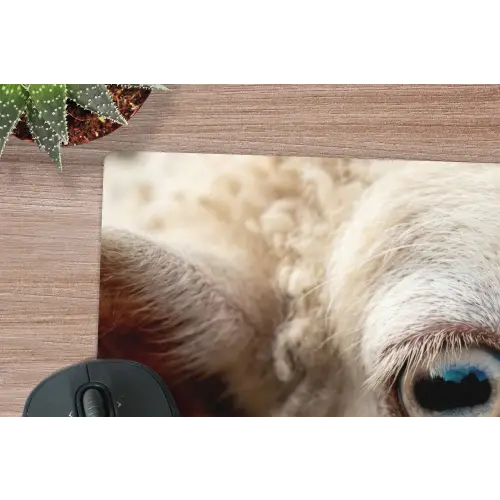 Schaap - Oog - Wit muismat rubber klein -closeup