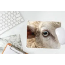 Schaap - Oog - Wit muismat rubber klein -witbureau