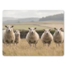Schapen - Weidenlandschap - Heuvels muismat rubber klein -3d