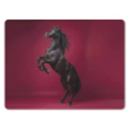 Hengst - Steigert - Rood muismat rubber klein -3d