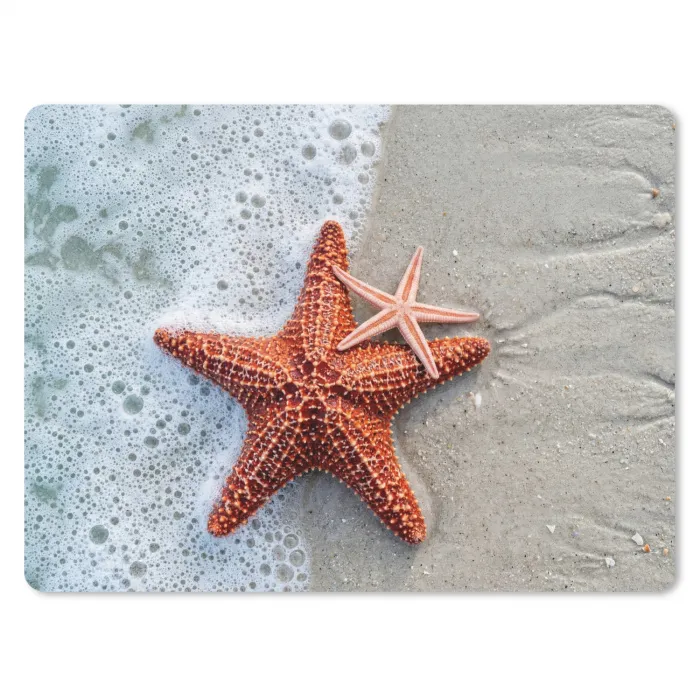 Zeester - Strand - Zee muismat rubber klein -3d