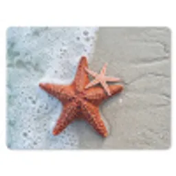 Zeester - Strand - Zee muismat rubber klein -3d